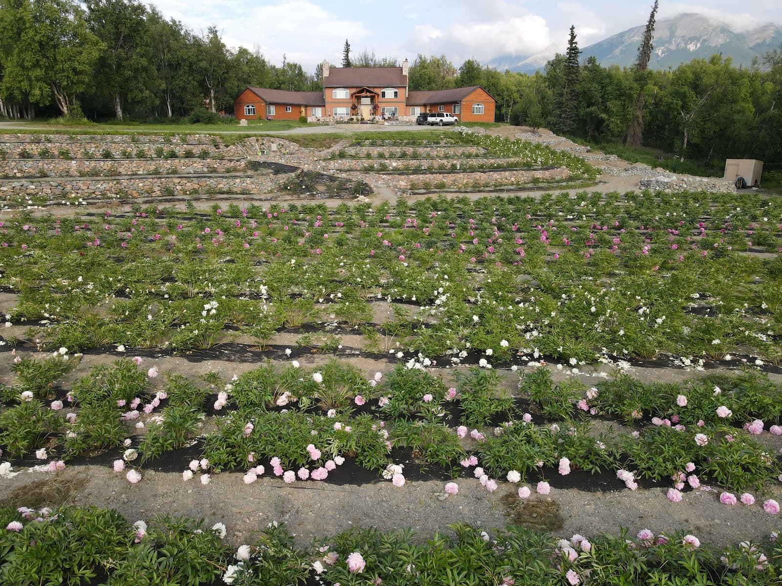 Lazy Mountain Acres in Palmer
