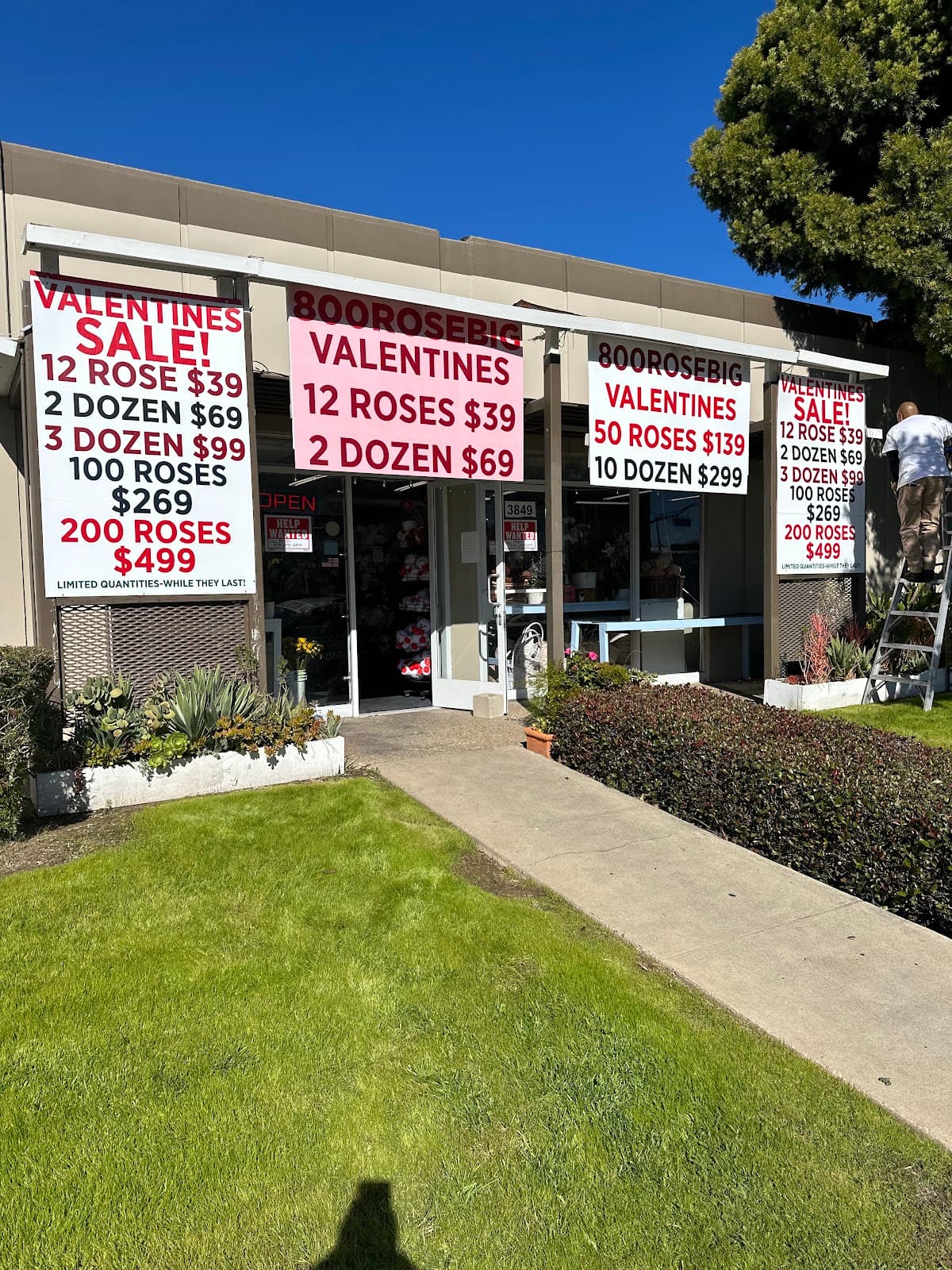 800RoseBig in Newport Beach, CA
