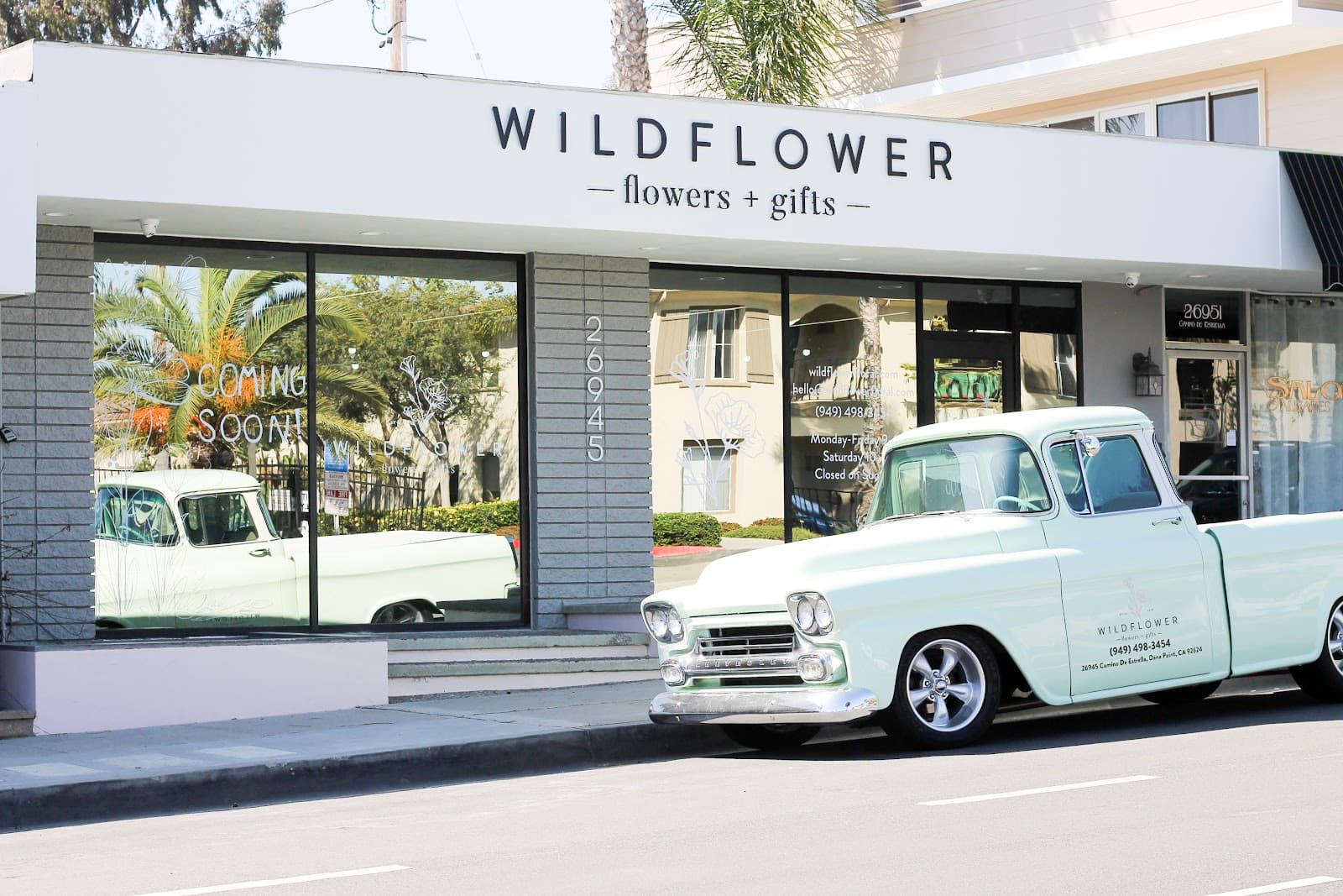 Wildflower in Dana Point, CA