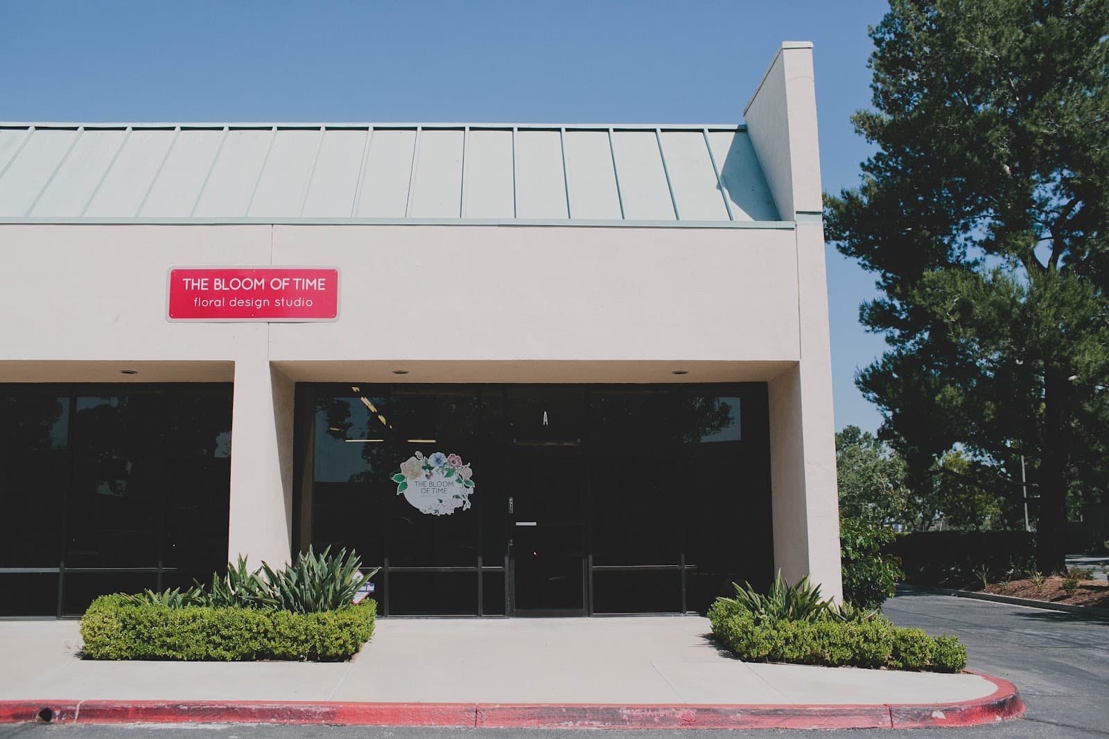 The Bloom of Time in Lake Forest, CA