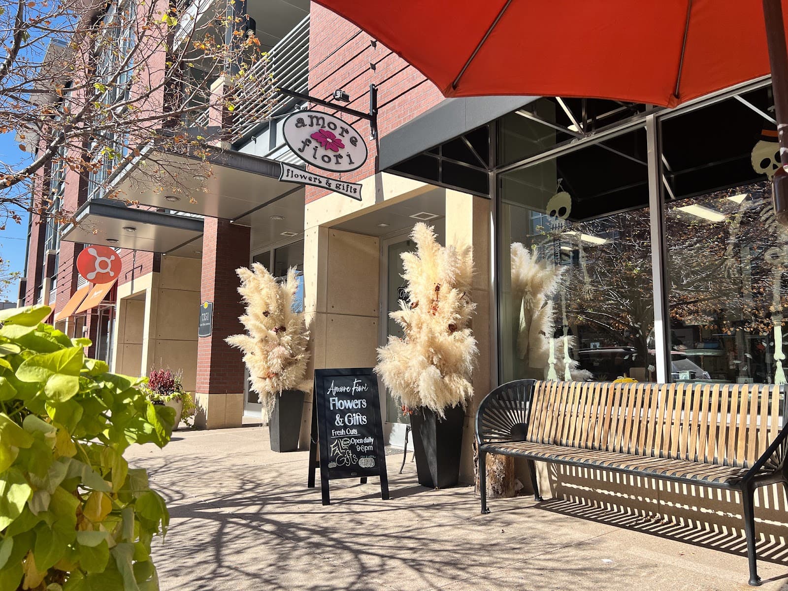 Amore Fiori Flowers and Gifts in Denver, CO