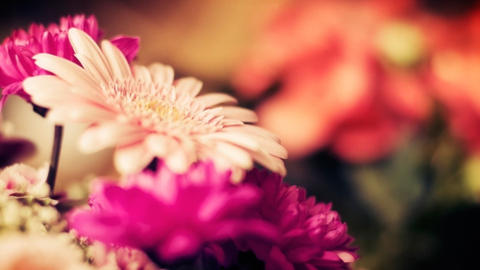 Floral Inspirations in Lewes