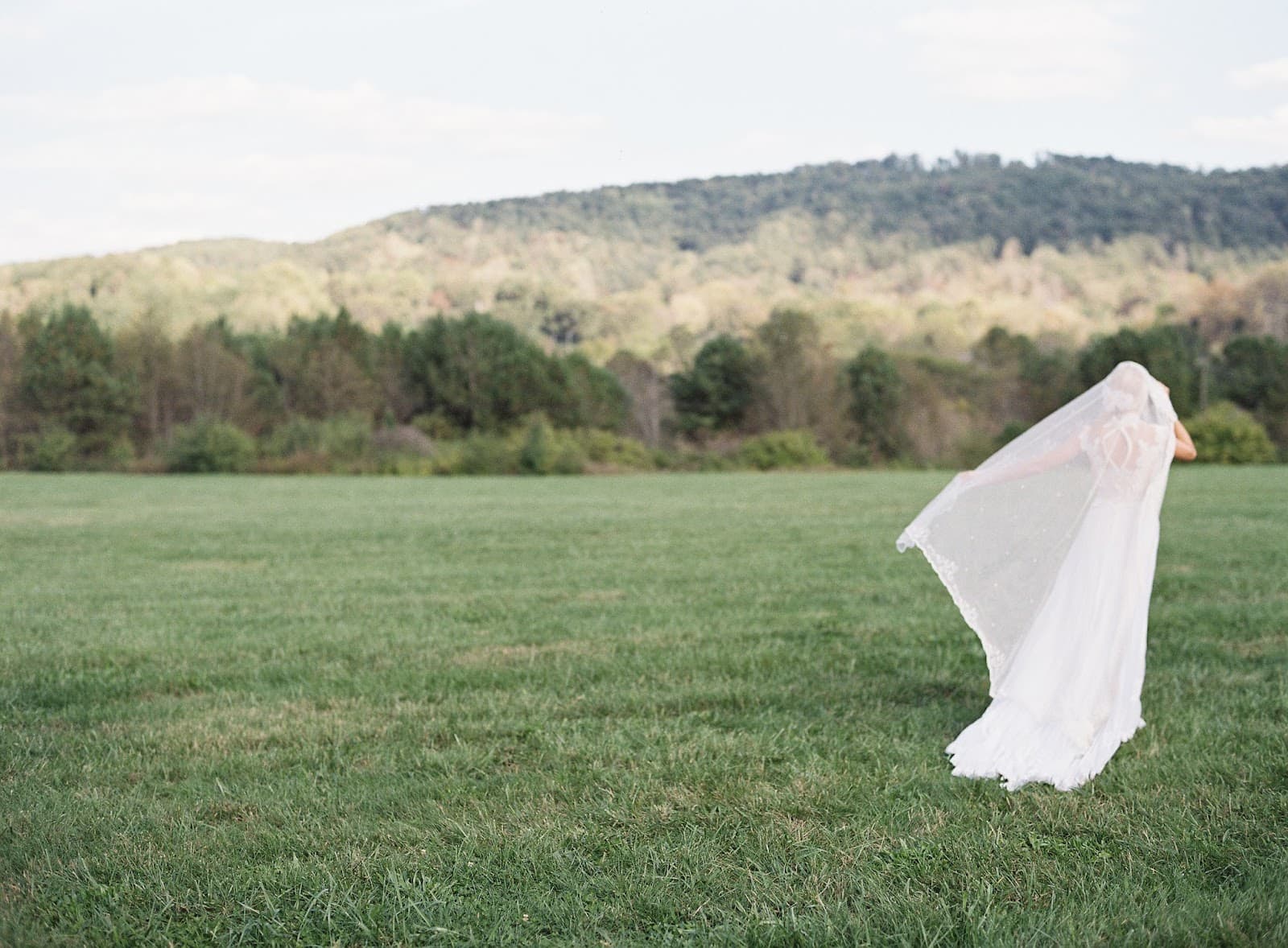 Tate House / Georgia Estate Wedding & Special Events Venue in Tate, GA