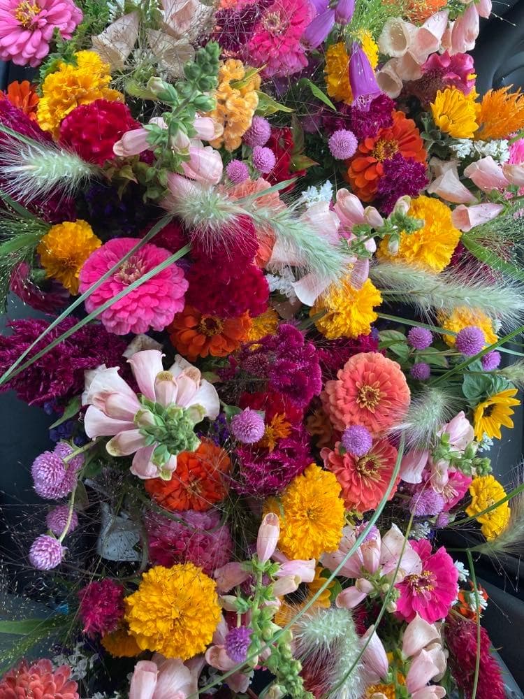 Little River Flower Farm in Buxton, ME