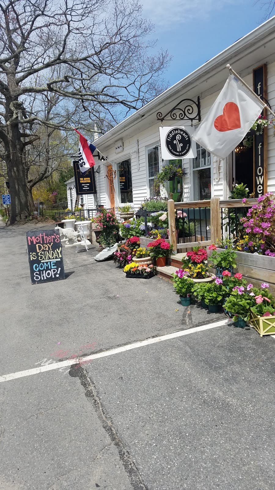 Fiddleheads Fine Flowers and Maine Gifts in Cape Elizabeth, ME