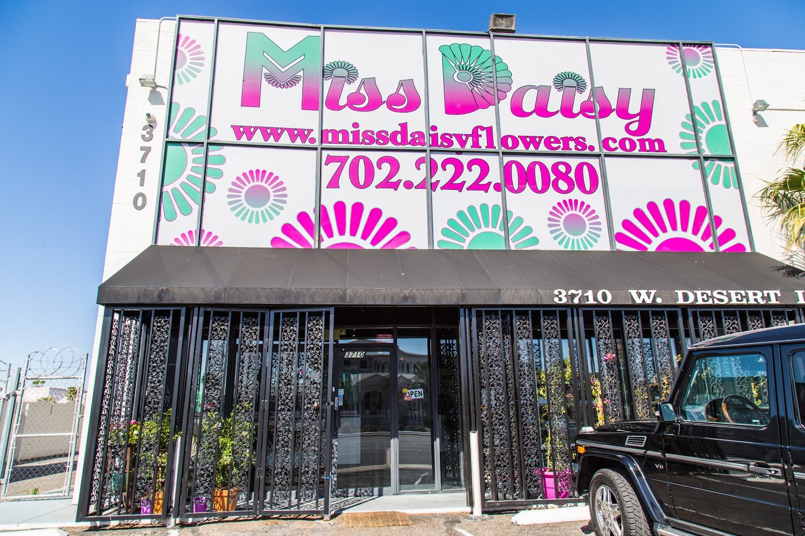 Miss Daisy in Las Vegas