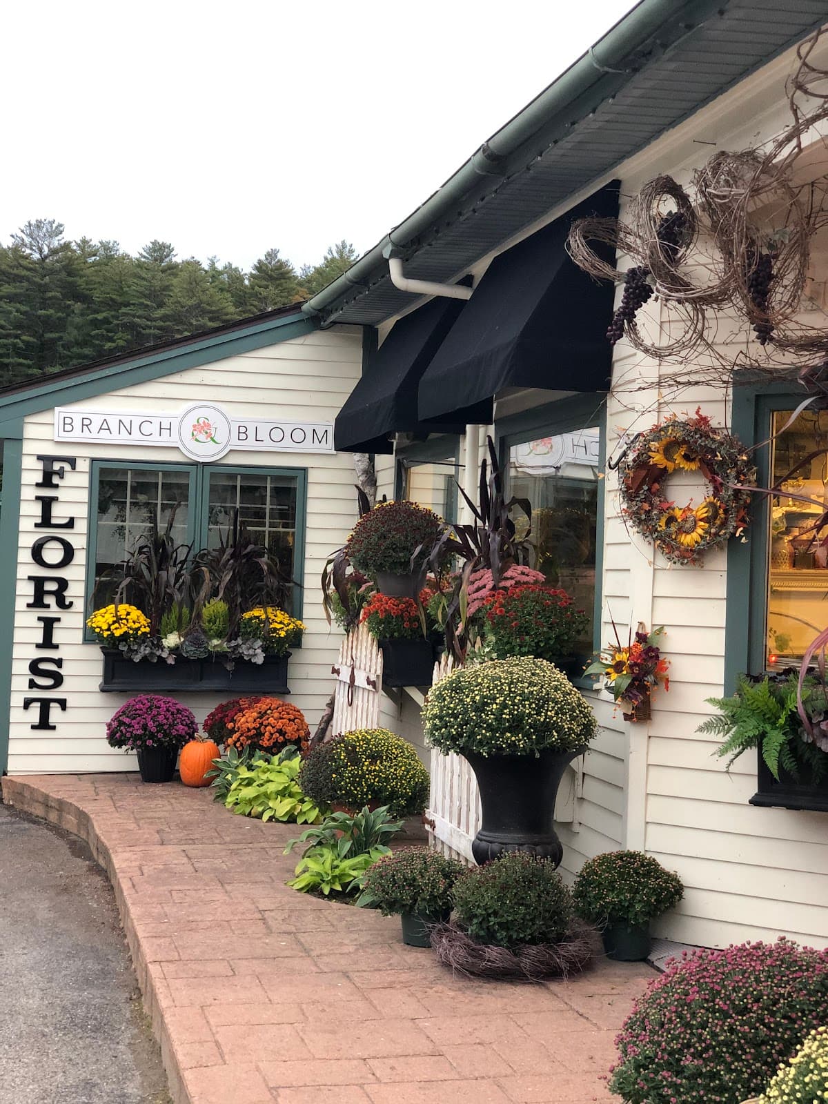 Branch & Bloom in Wolfeboro, NH