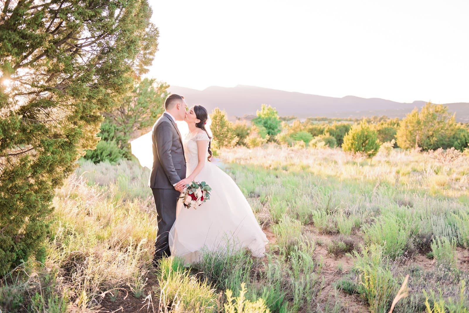 Wedding Collective New Mexico + Colorado in Albuquerque, NM