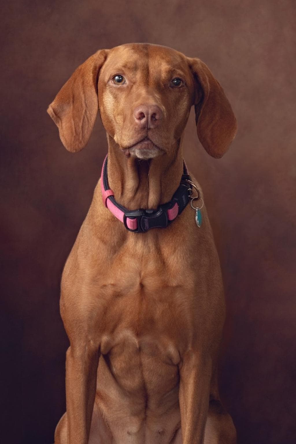 Elena K Photography in Fargo, ND