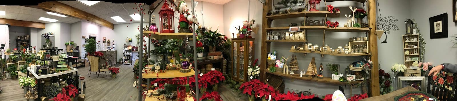 Beyond the Blooms in Mandan, ND
