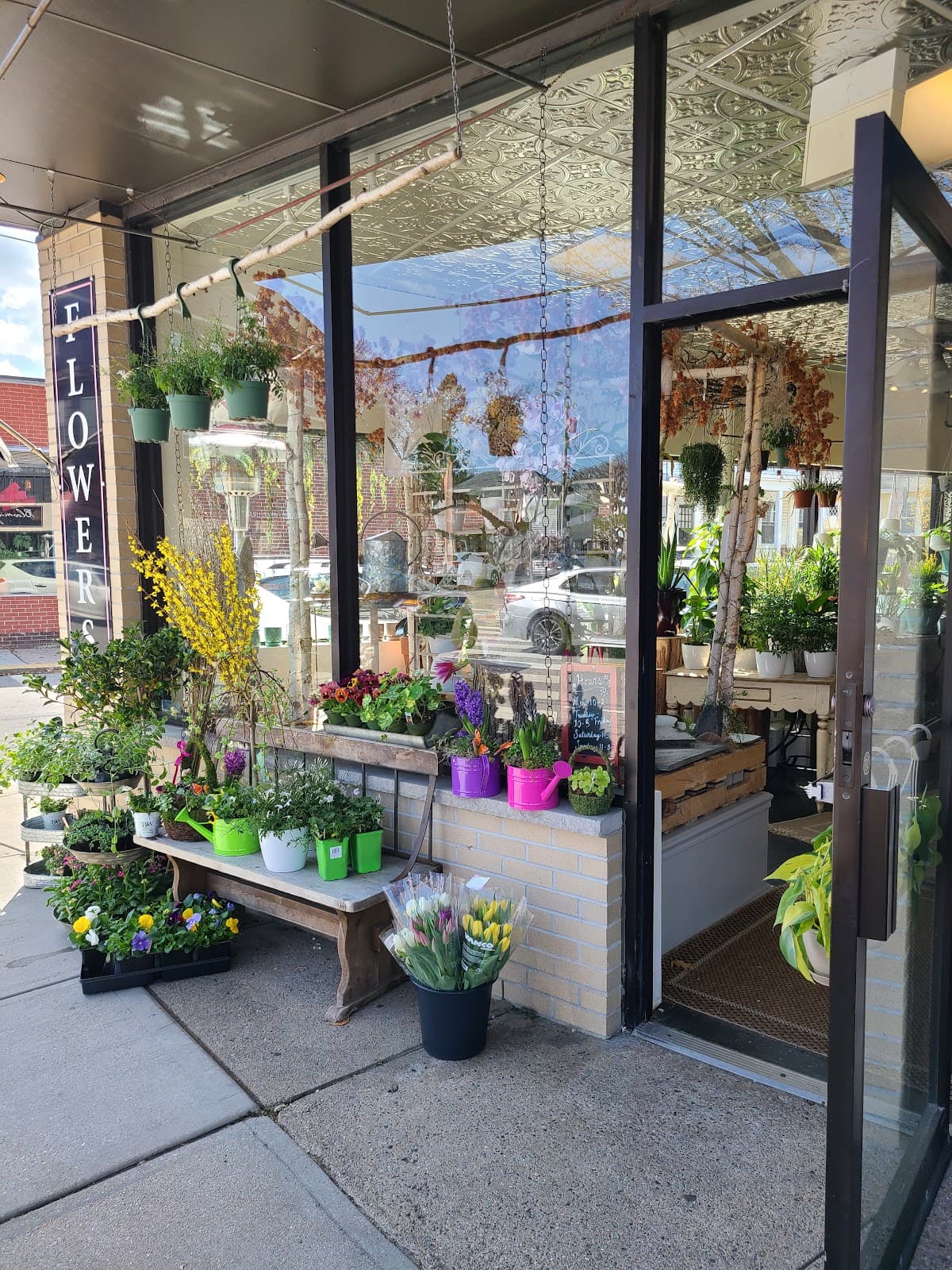 Providence Florist - Blooming Blossoms in Providence