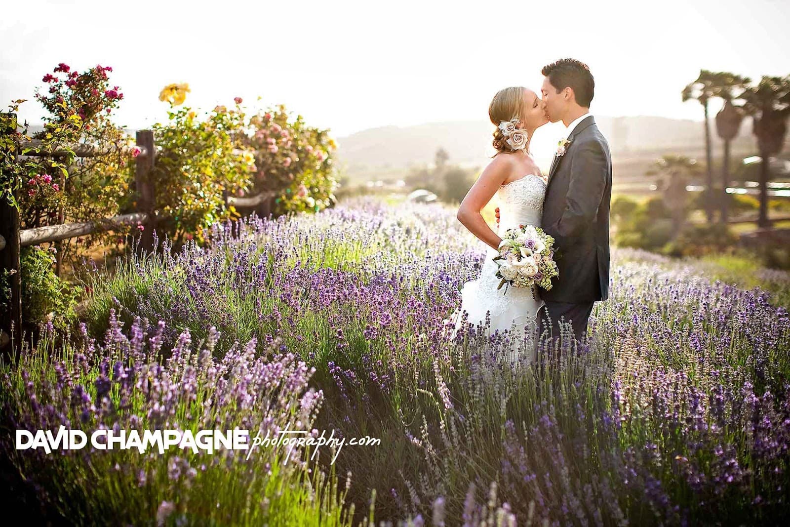 David Champagne Photography in Chesapeake