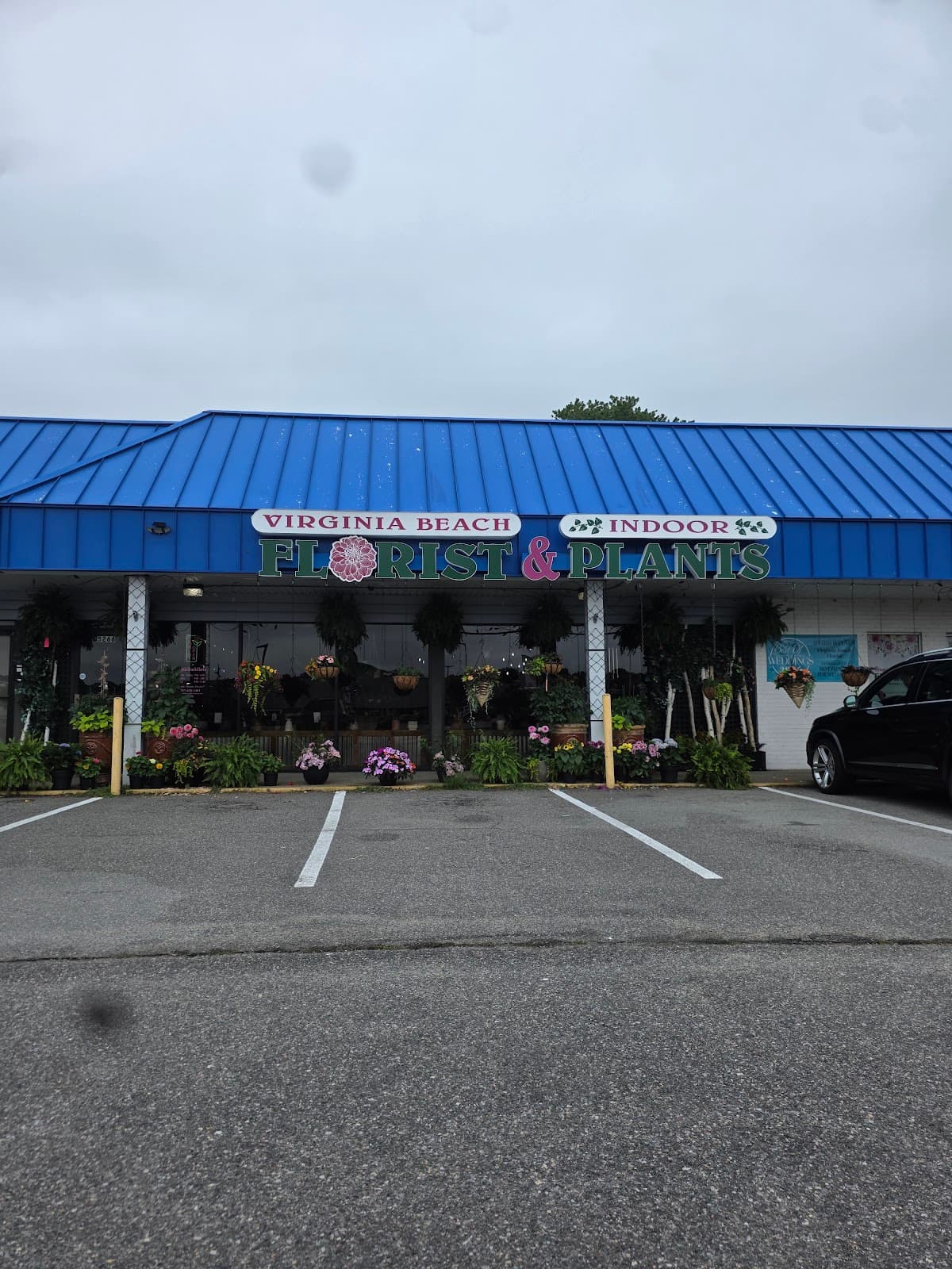 Virginia Beach Florist in Virginia Beach, VA