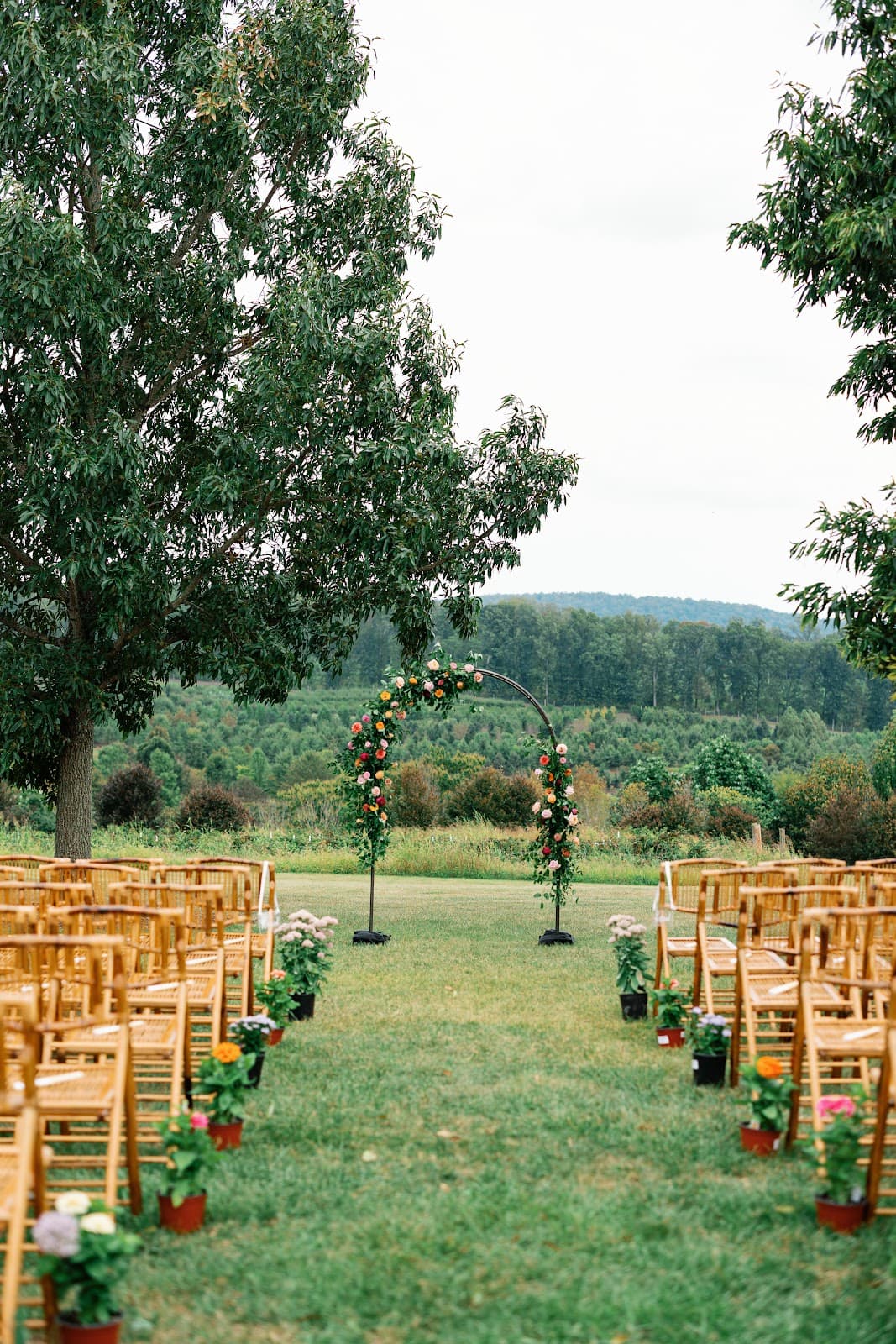 The Hive Wedding Collective in Richmond