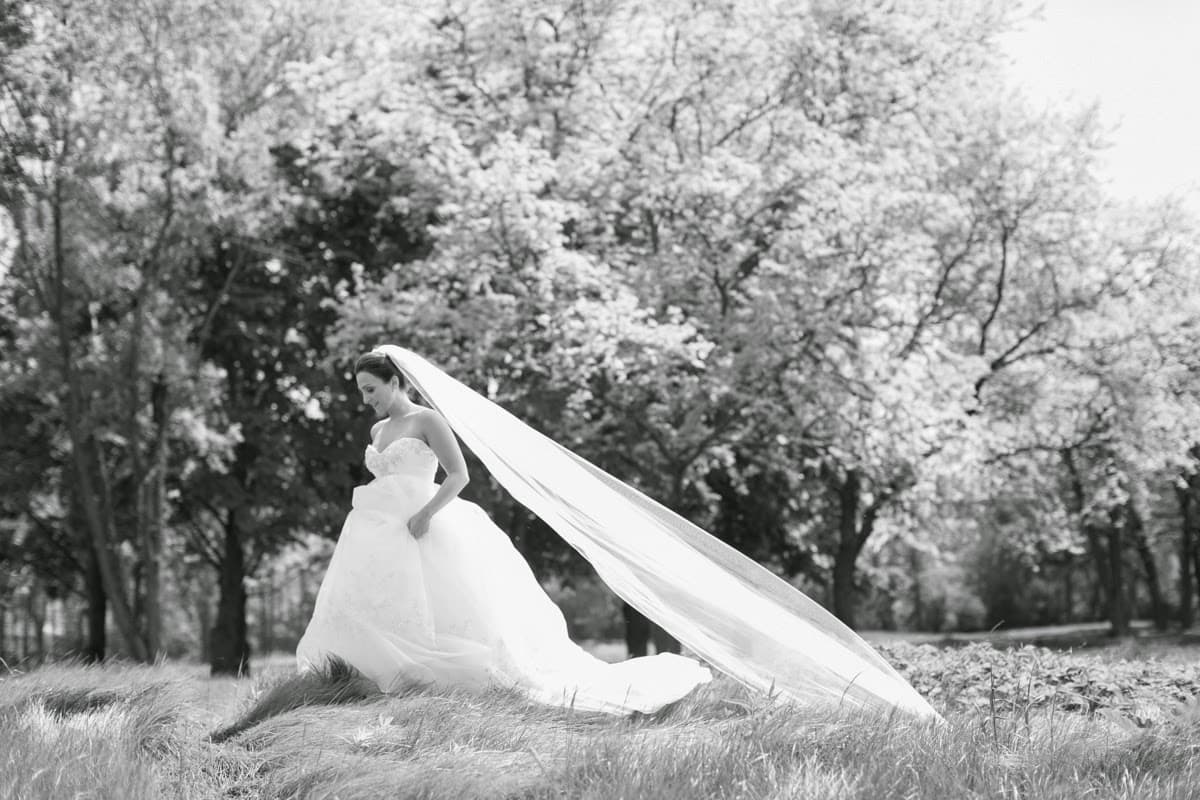 Heather Cook Elliott Photography in Milwaukee, WI