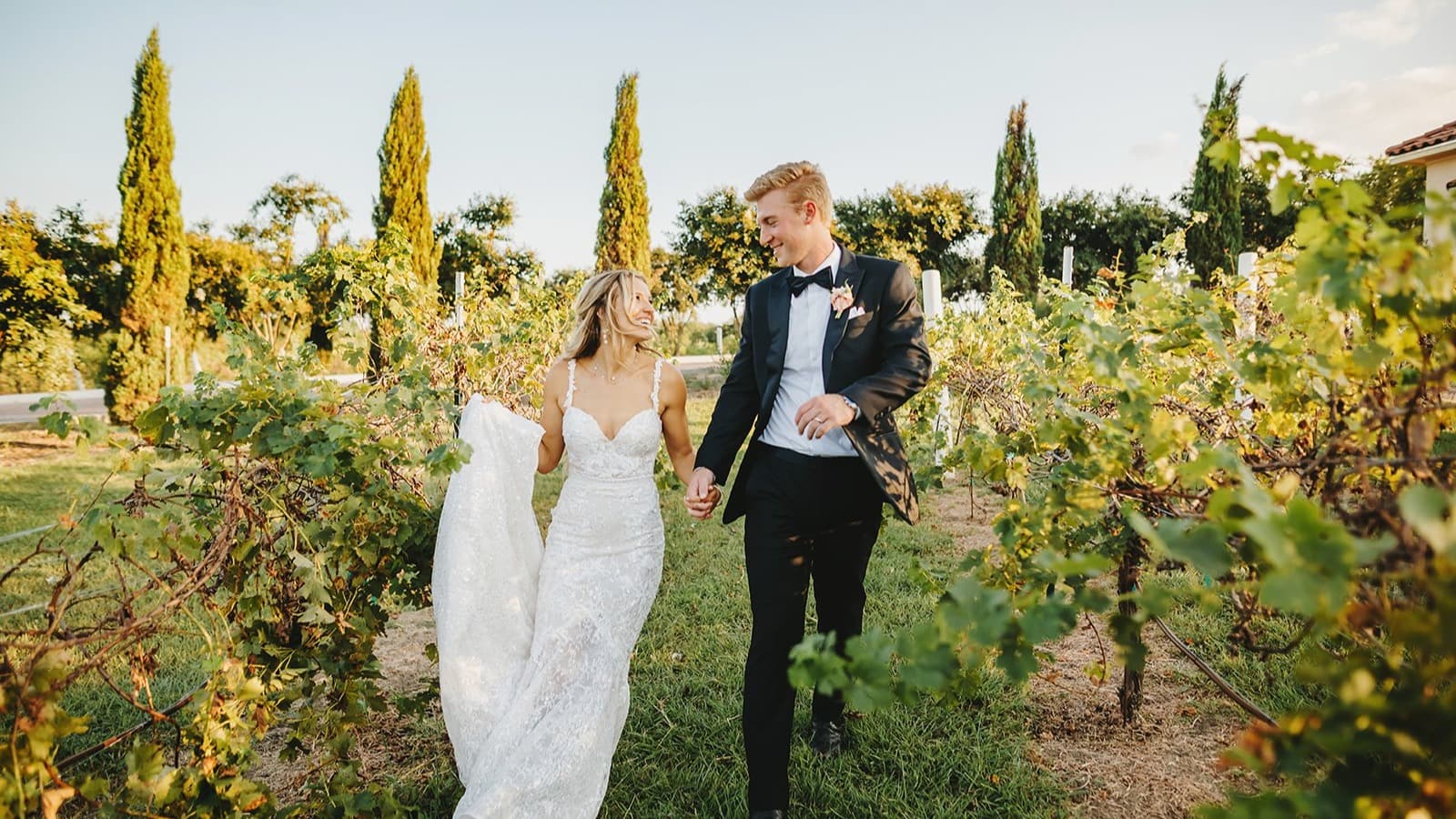 D'Vine Grace Vineyard portfolio image 1
