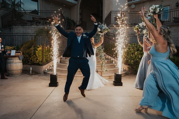 The Wedding Entertainment Collective portfolio image 1